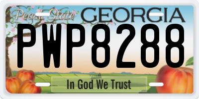 GA license plate PWP8288