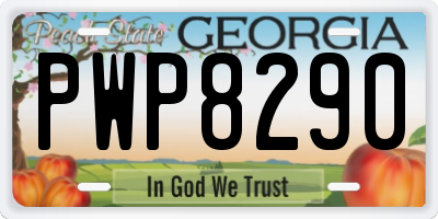 GA license plate PWP8290