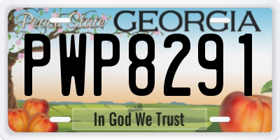 GA license plate PWP8291