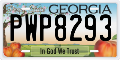 GA license plate PWP8293