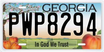 GA license plate PWP8294