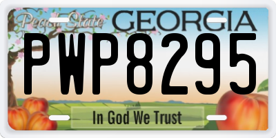 GA license plate PWP8295