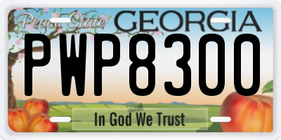 GA license plate PWP8300