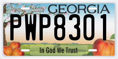 GA license plate PWP8301