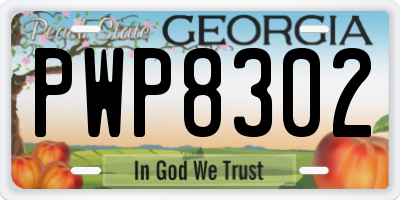 GA license plate PWP8302
