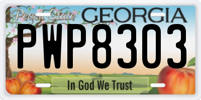 GA license plate PWP8303