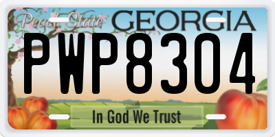 GA license plate PWP8304