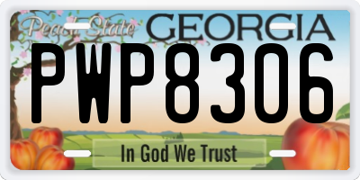 GA license plate PWP8306