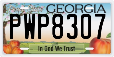 GA license plate PWP8307