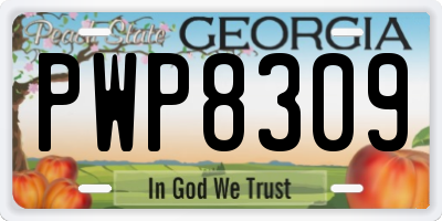 GA license plate PWP8309