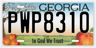 GA license plate PWP8310