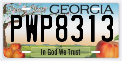 GA license plate PWP8313