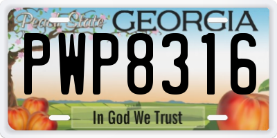GA license plate PWP8316