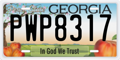 GA license plate PWP8317