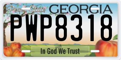 GA license plate PWP8318