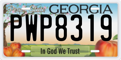 GA license plate PWP8319