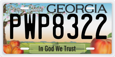 GA license plate PWP8322
