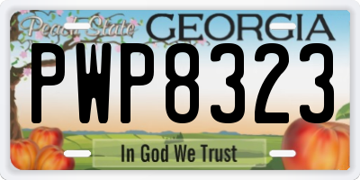 GA license plate PWP8323