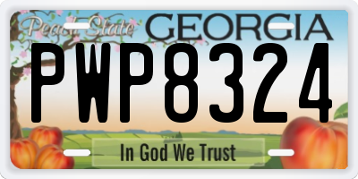 GA license plate PWP8324