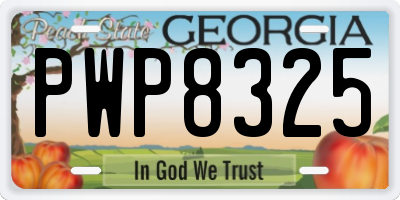 GA license plate PWP8325
