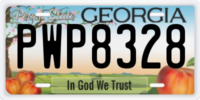 GA license plate PWP8328