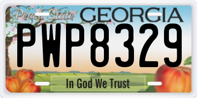 GA license plate PWP8329