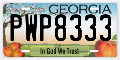 GA license plate PWP8333