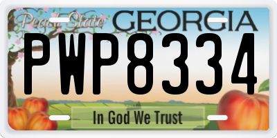 GA license plate PWP8334