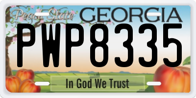 GA license plate PWP8335