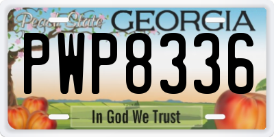 GA license plate PWP8336