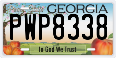 GA license plate PWP8338