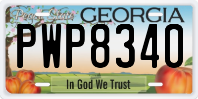 GA license plate PWP8340