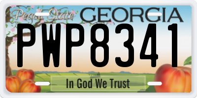 GA license plate PWP8341