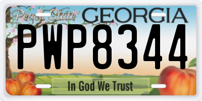 GA license plate PWP8344
