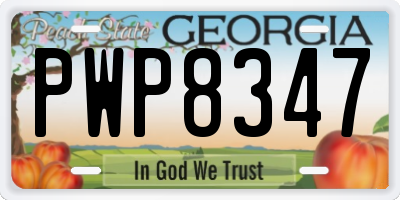 GA license plate PWP8347