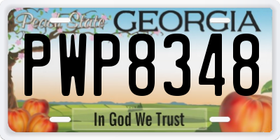 GA license plate PWP8348