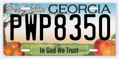 GA license plate PWP8350