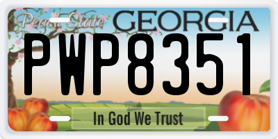 GA license plate PWP8351