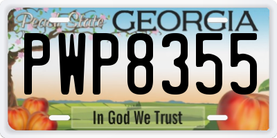 GA license plate PWP8355