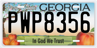 GA license plate PWP8356