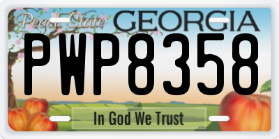 GA license plate PWP8358