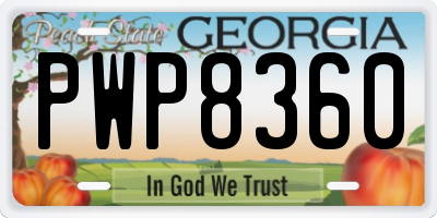 GA license plate PWP8360