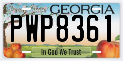 GA license plate PWP8361