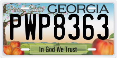 GA license plate PWP8363