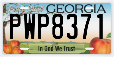 GA license plate PWP8371