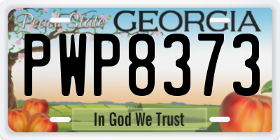 GA license plate PWP8373