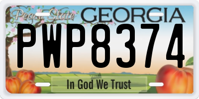 GA license plate PWP8374