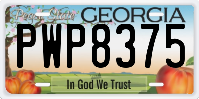 GA license plate PWP8375