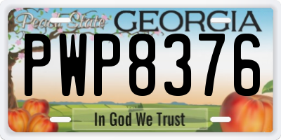 GA license plate PWP8376