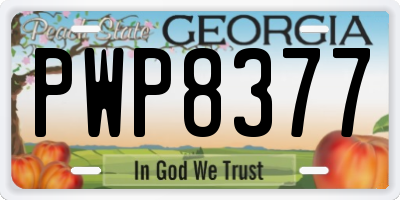 GA license plate PWP8377